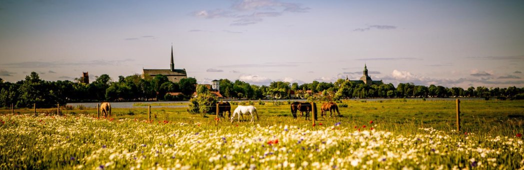 Midsommarpaket två dygn