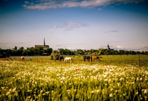 Midsommarpaket två dygn