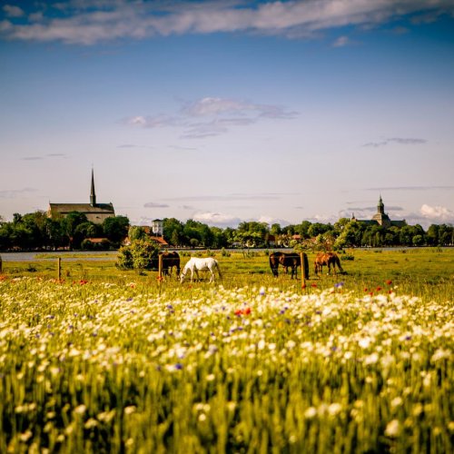 Vadstena klosterhotel sommar 1