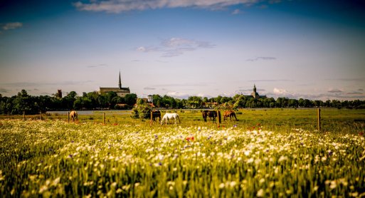 Midsommarpaket två dygn