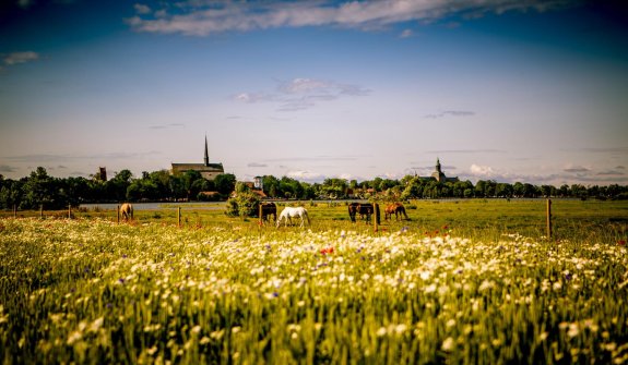 Vadstena klosterhotel sommar 1