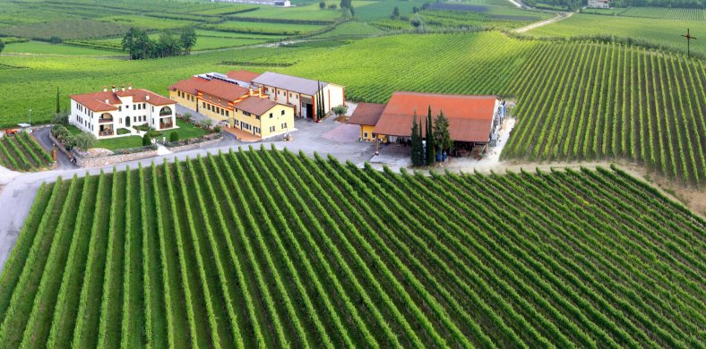 Winemakers Dinner 17/11
